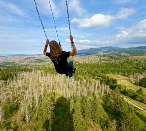 High Swing am Harzturm