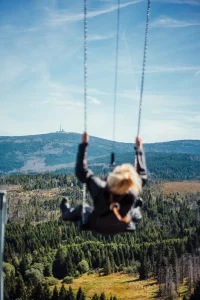 High Swing am Harzturm